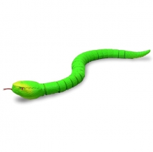  Rattle snake  /  ()